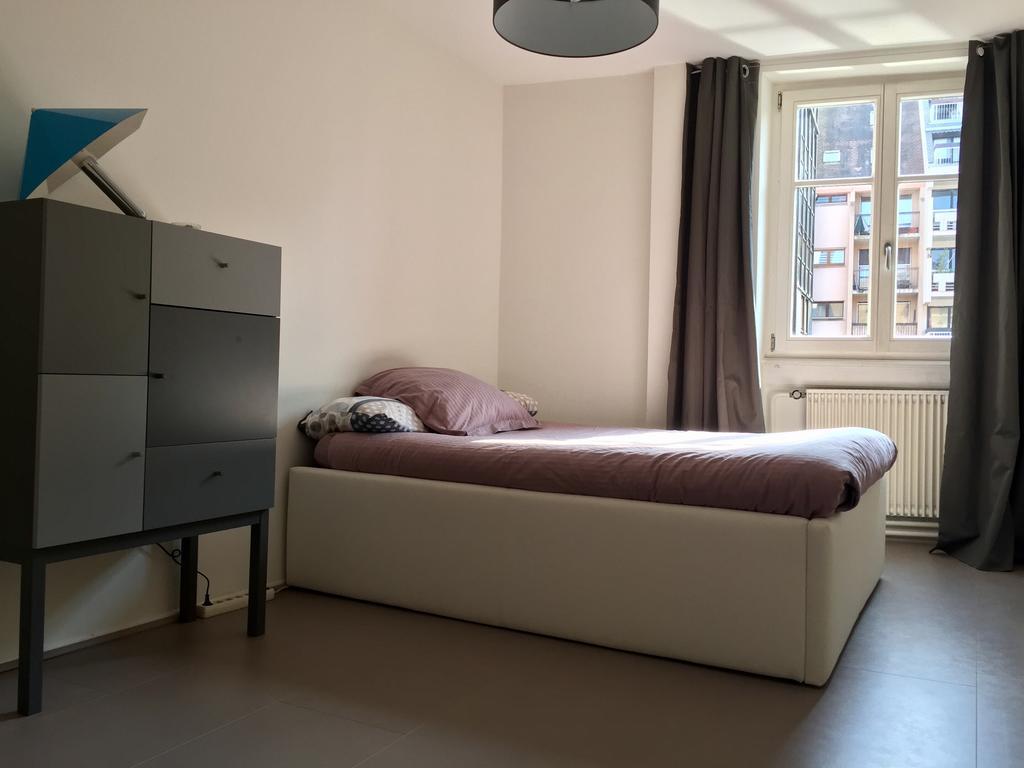 Appartement Des Moulins Strasbourg Luaran gambar