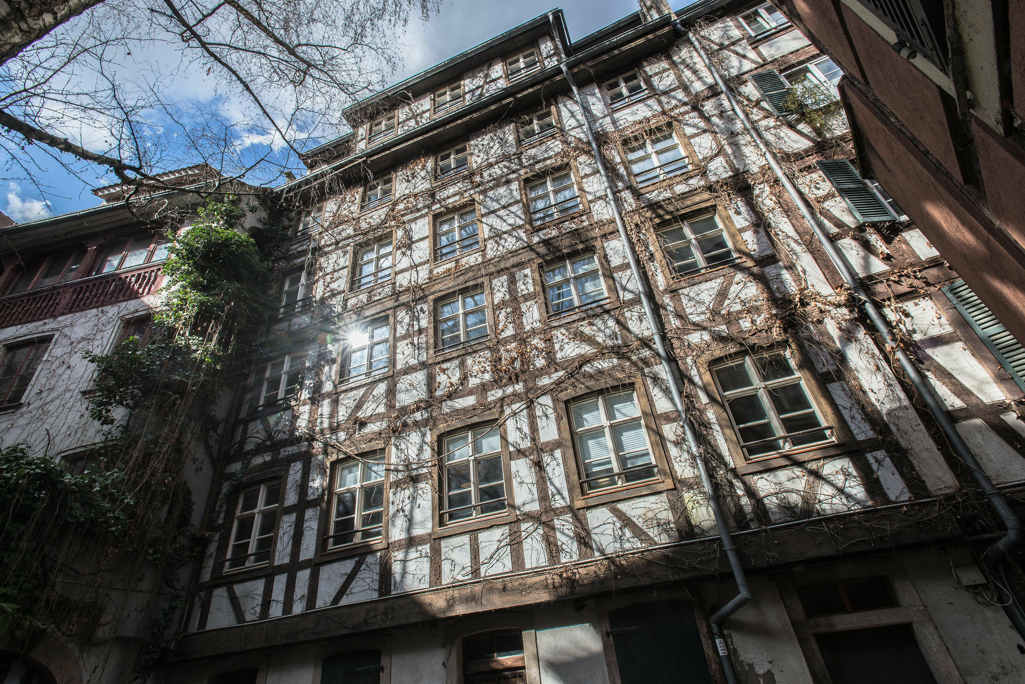 Appartement Des Moulins Strasbourg Luaran gambar